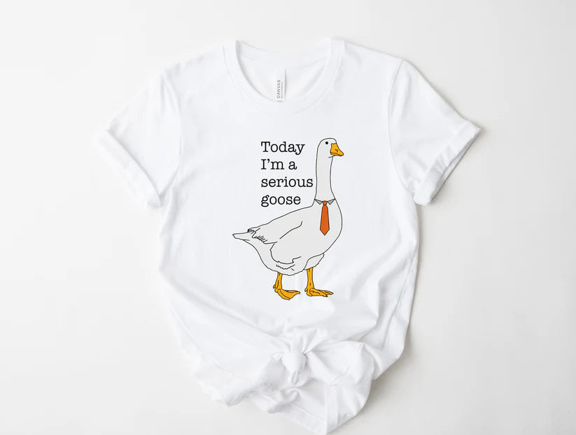 Serious Goose