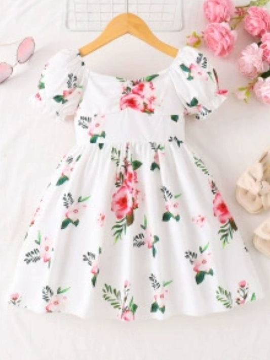 00cbec76-a9e2-4b0f-ab50-58080c23428d-Max