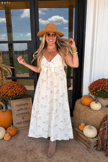 Prebook WESTERN CHARM MAXI DRESS