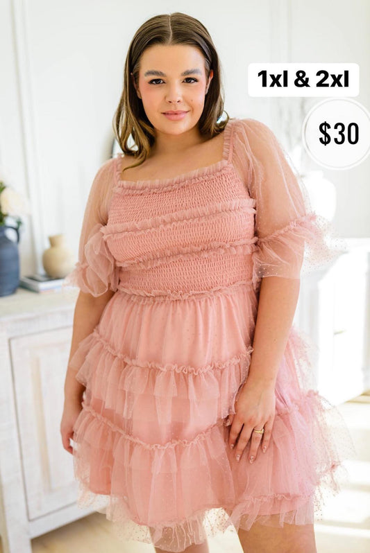 Tulle Pink Dress Size 1XL & 2XL